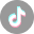 TikTok icon